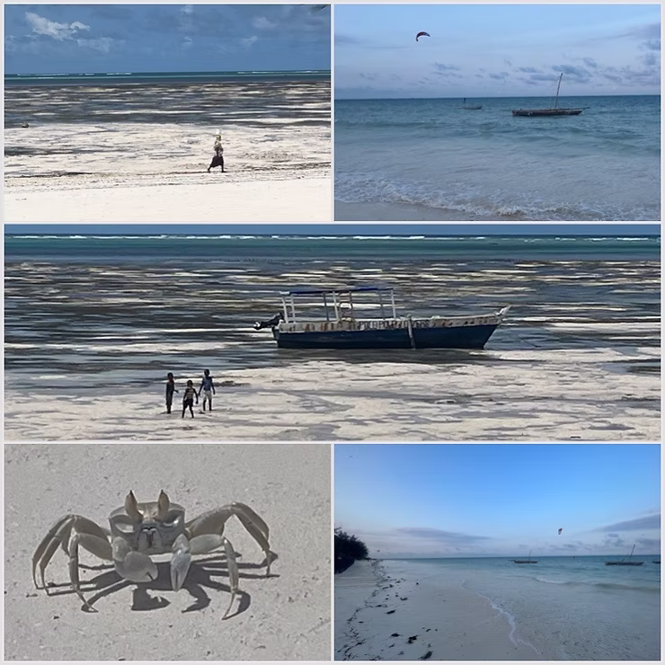 Jambiani Beach Sansibar, Boote, Kinder am Strand, Krabbe, türkises Meer 