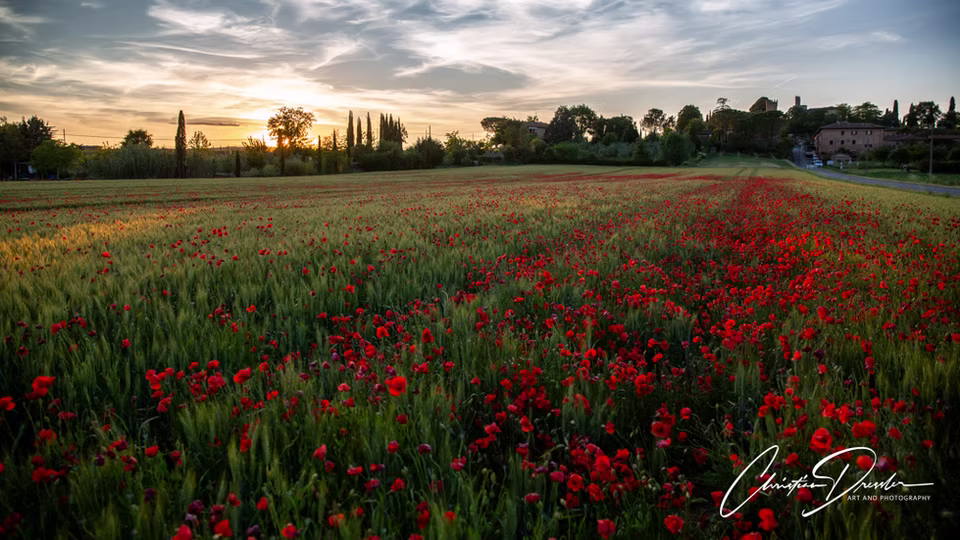 Landscape & Travel · Work 105