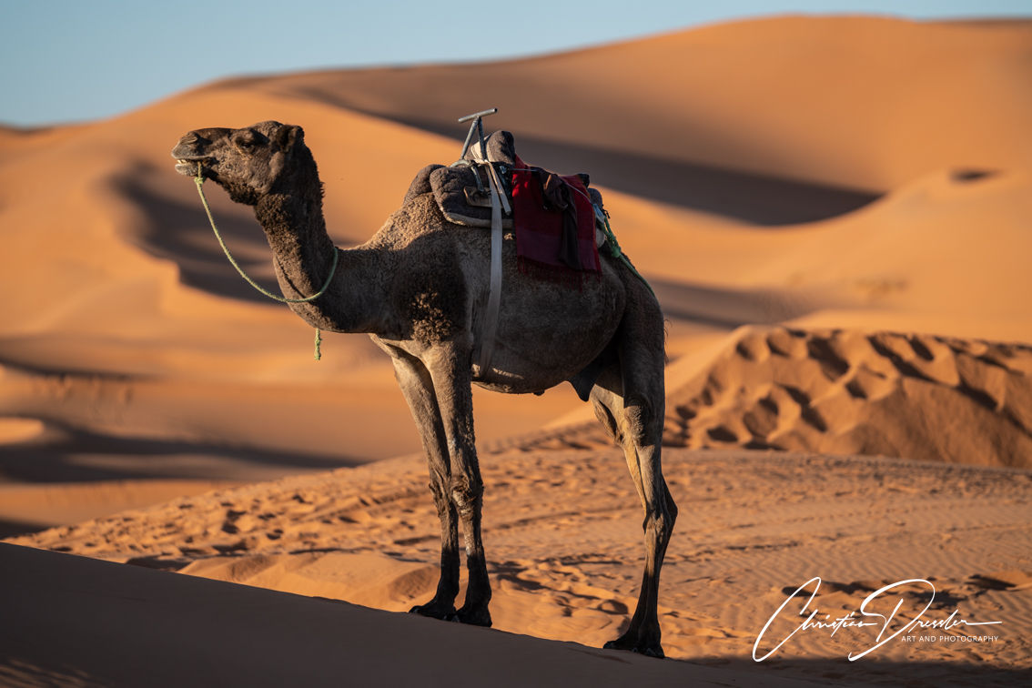 Morocco · Photography 08