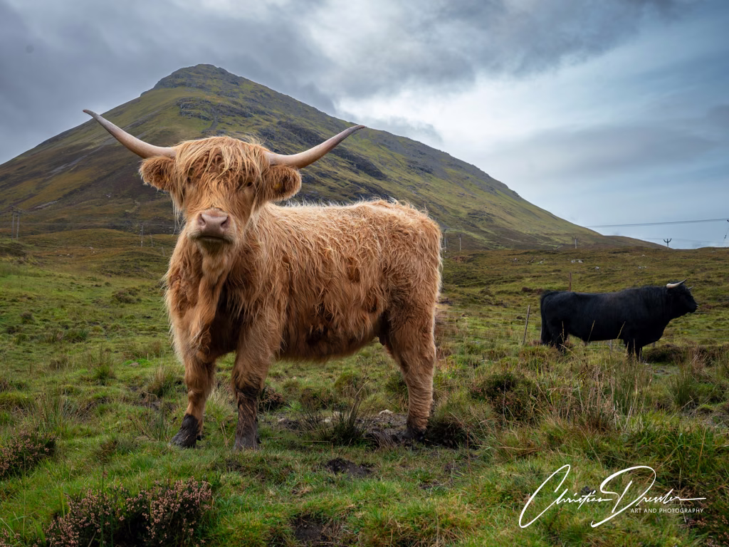 Scotland · Photography 22