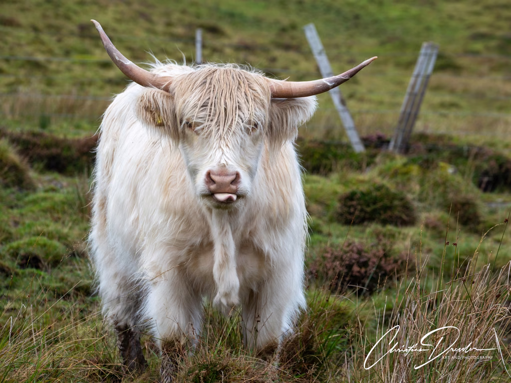 Scotland · Photography 33