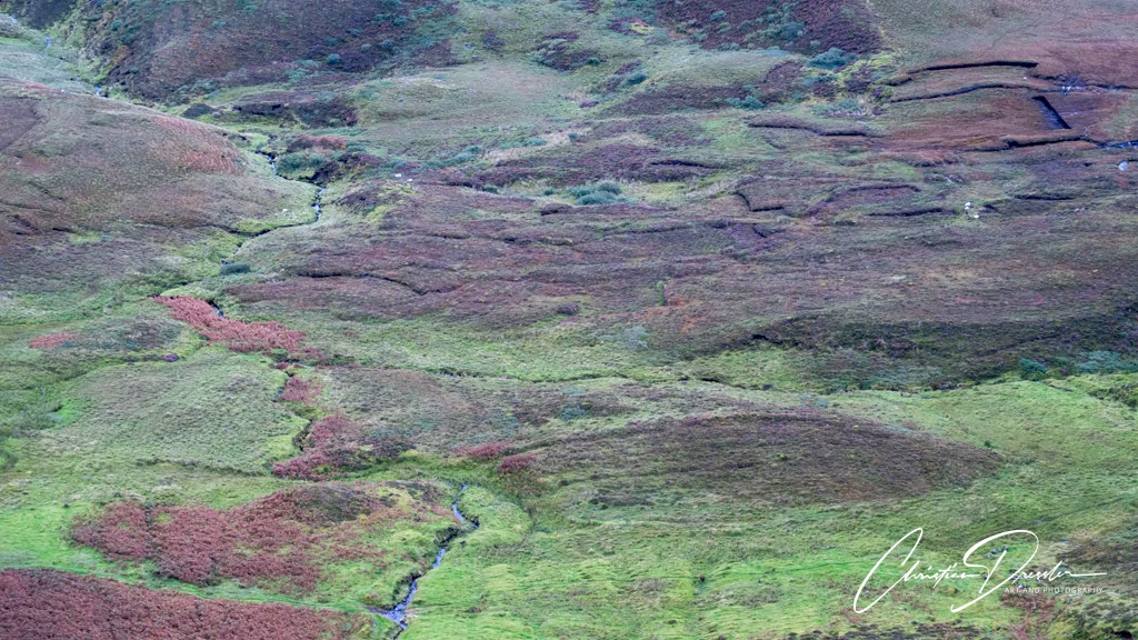 Scotland · Photography 45