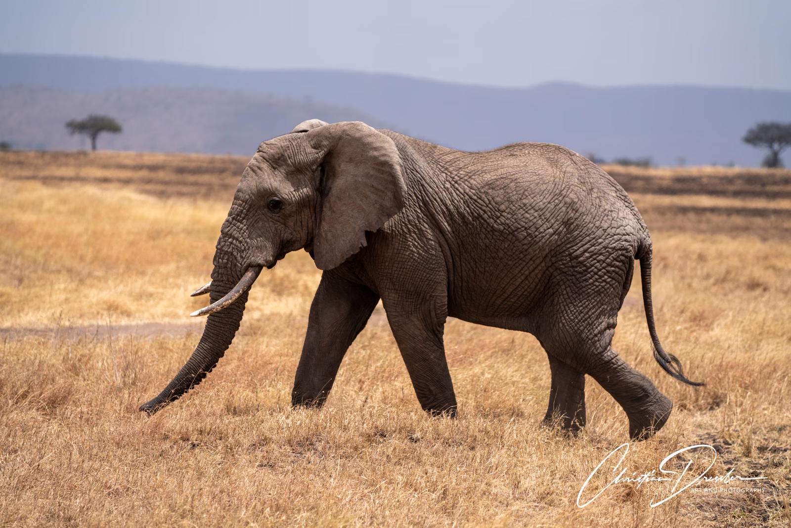 Tanzania · Photography 21