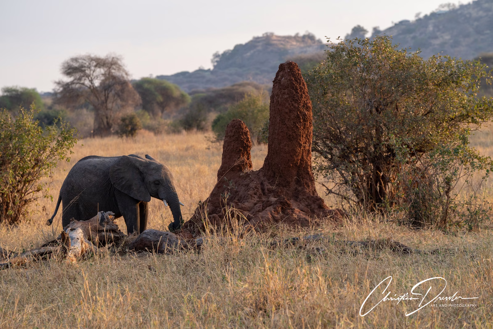 Tanzania · Photography 28