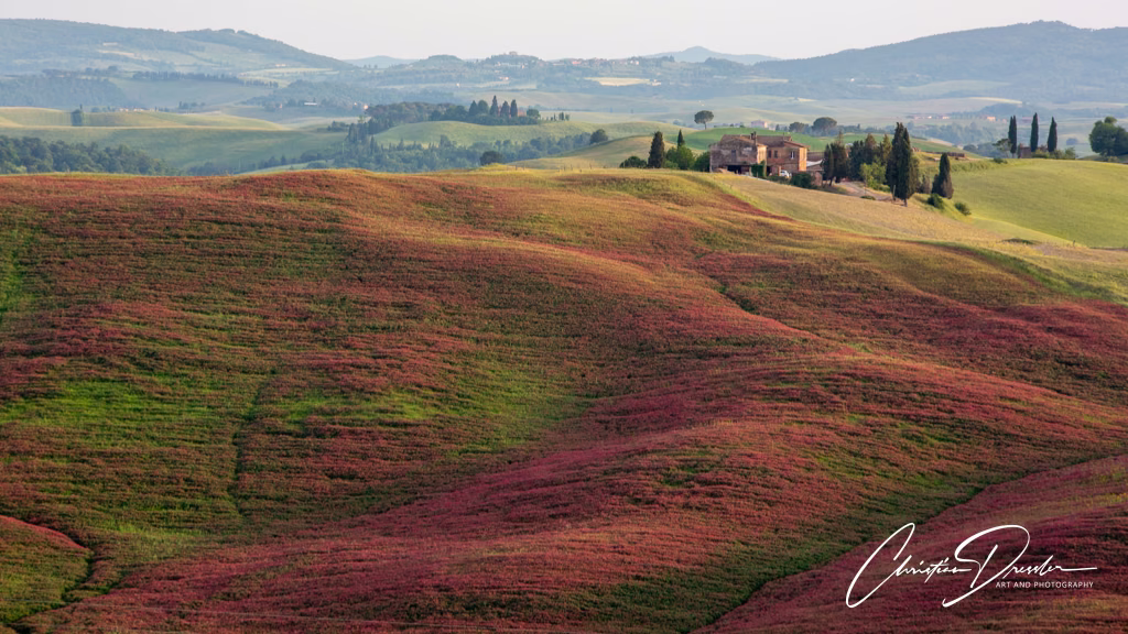 Tuscany · Photography 17