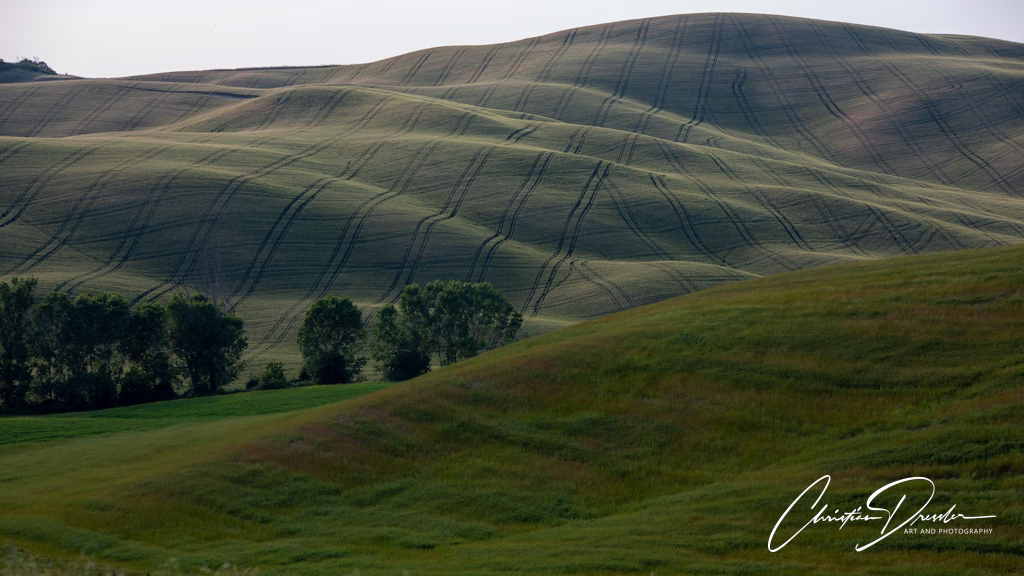 Tuscany · Photography 20