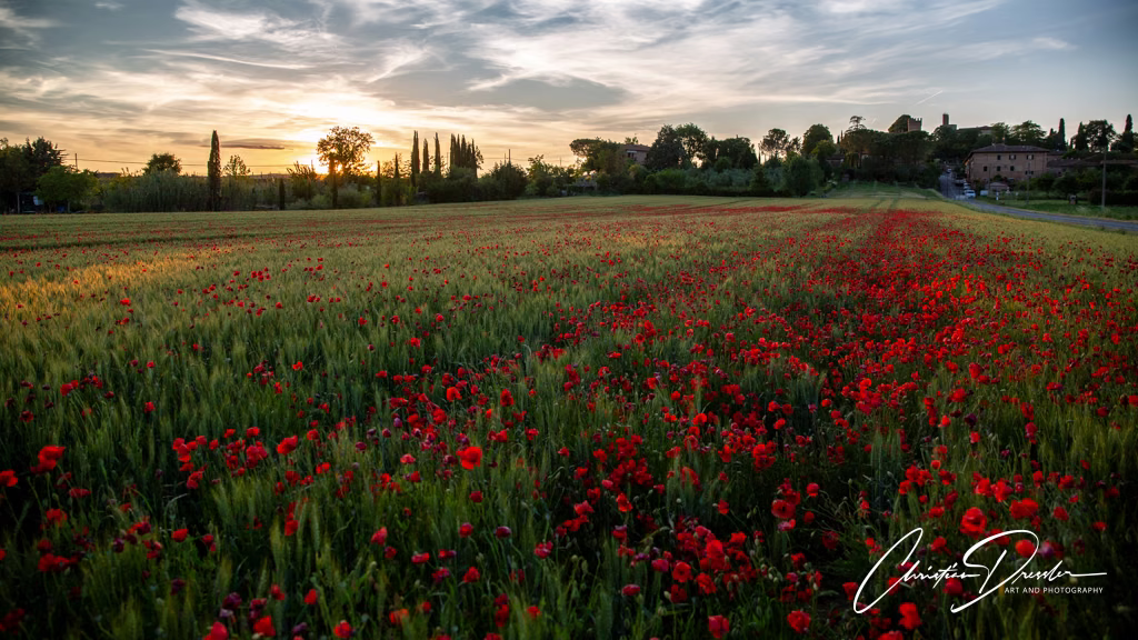 Tuscany · Photography 26